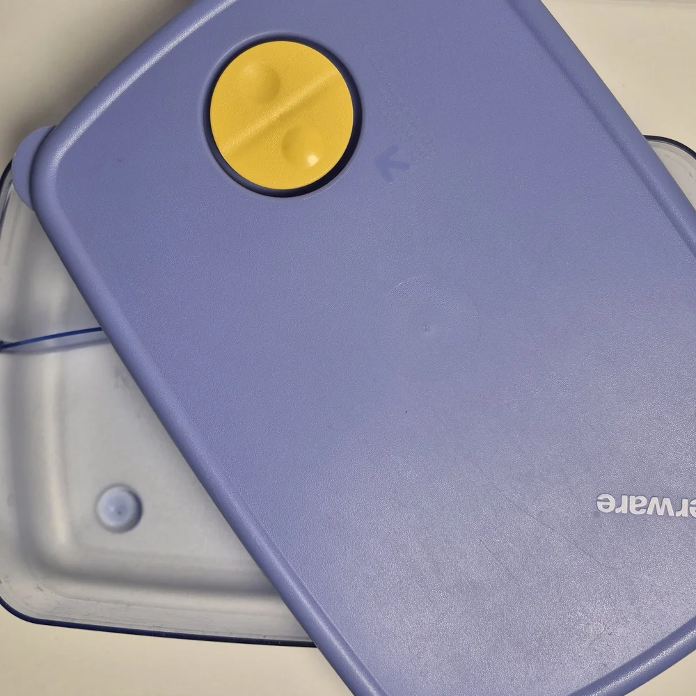 Tupperware Vent N Serve Microwave Storage Tupperware Blue And Orange Storage Set